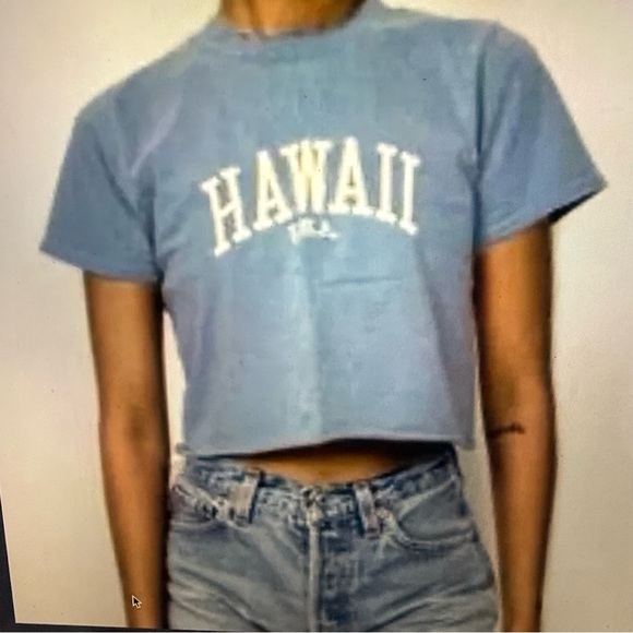 Brandy Melville Hawaii graphic crop tee - Picture 1 of 6